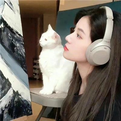 玫瑰